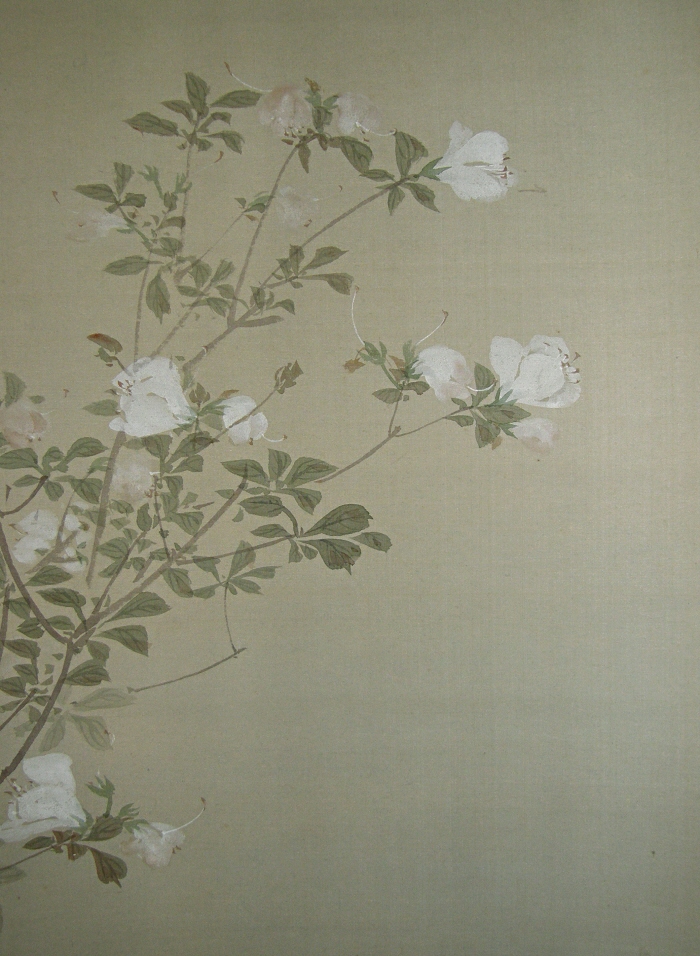 Flowers & Leaves