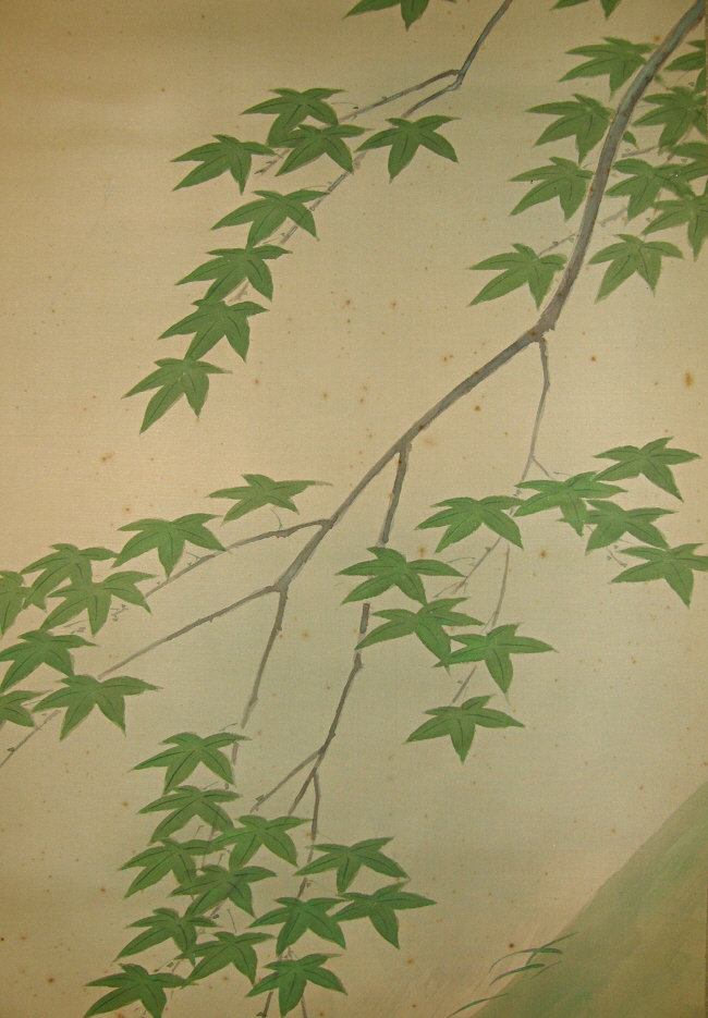 Yanagi (Willow) tree branch