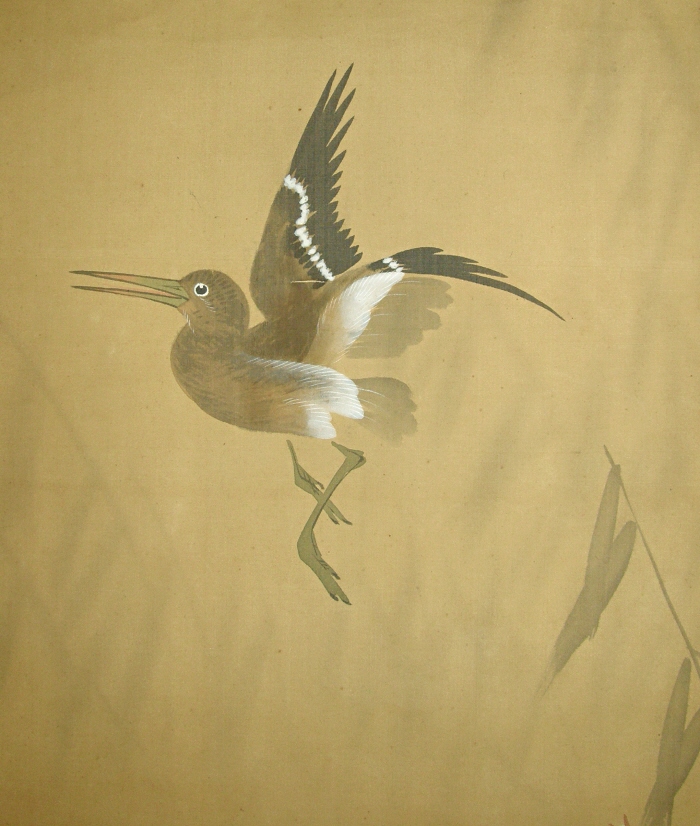 Flying Bird